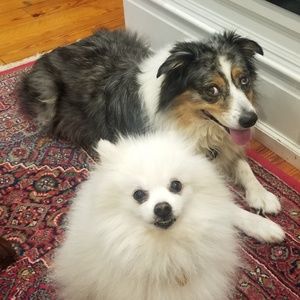 Meet your Posher, Barbara